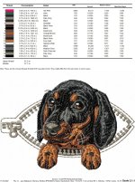 Dachshund_color.jpg