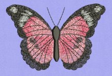 butterfly pattern 1.jpg